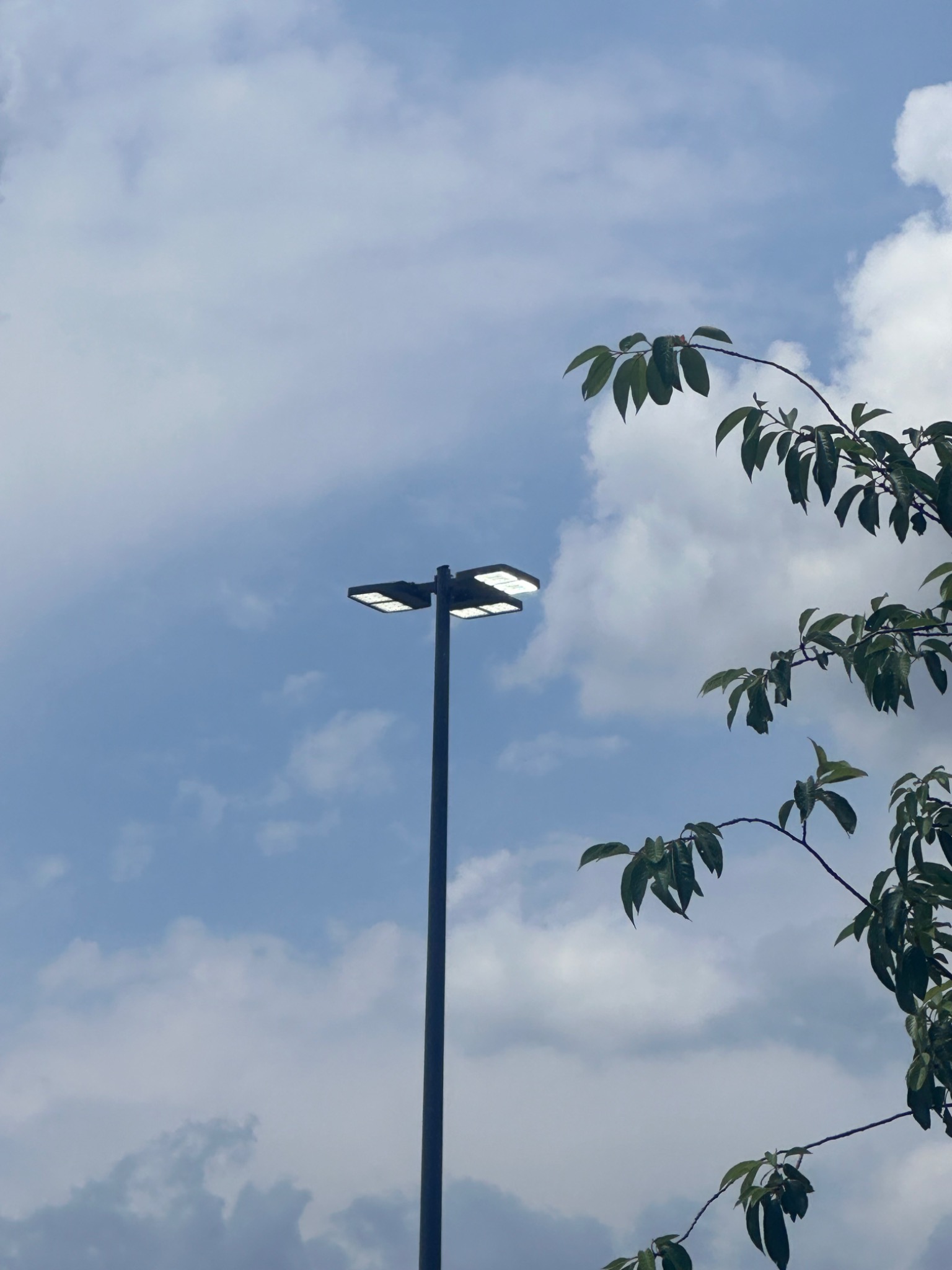 Site lighting for a commercial project